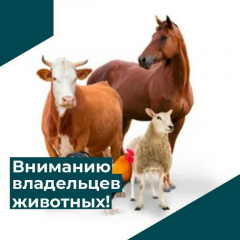 ВНИМАНИЕ! ОСОБО ОПАСНЫЕ БОЛЕЗНИ ЖИВОТНЫХ!